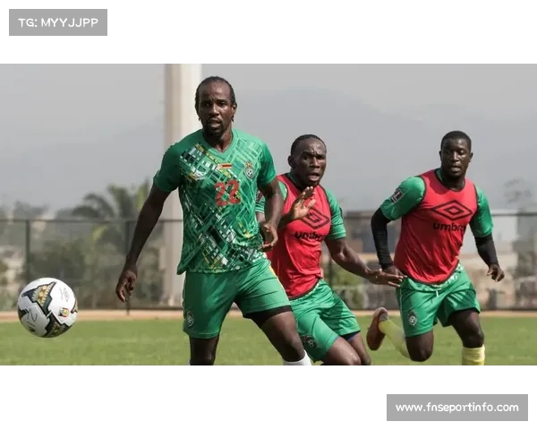 马里双星强势入选非洲杯最佳阵容 塞内加尔锋霸同样上榜